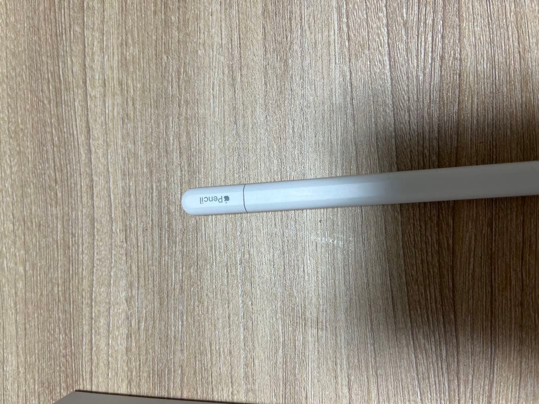 iPadアクセサリー Apple Pencil USB-C