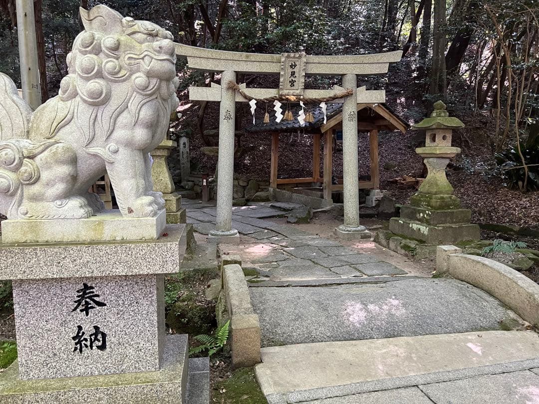 星田妙見宮♡七夕伝説の地／弘法大師創建／貴重／七夕限定／御朱印帳／一粒万倍日拝受