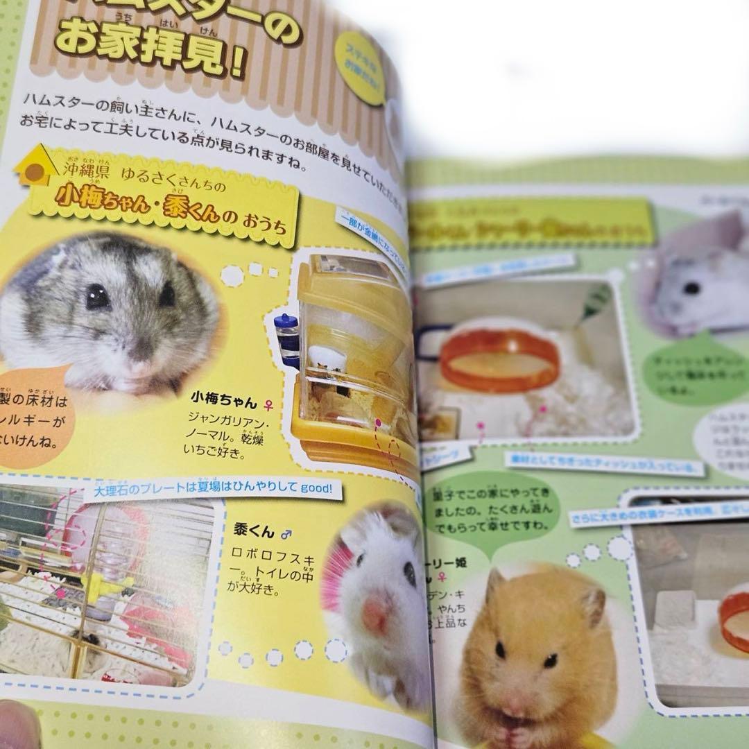 かわいい!たのしい!　ハムスターの育て方