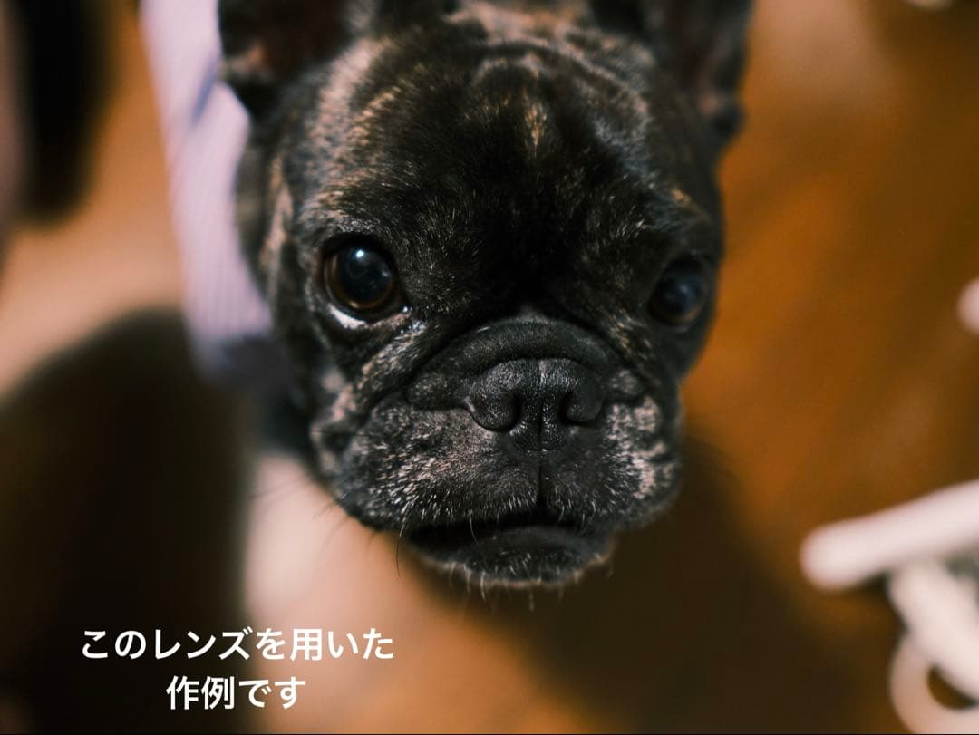 SIGMA 16mm F1.4 DC DN (Xマウント)