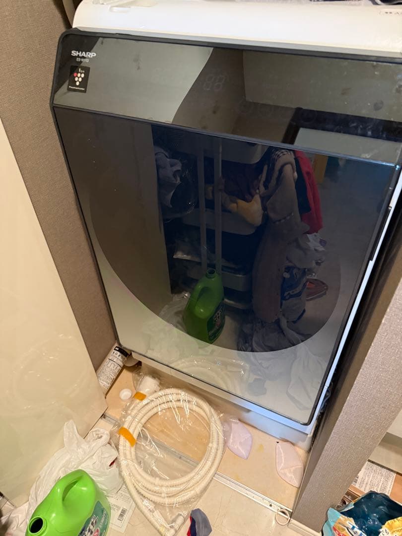 羅皇