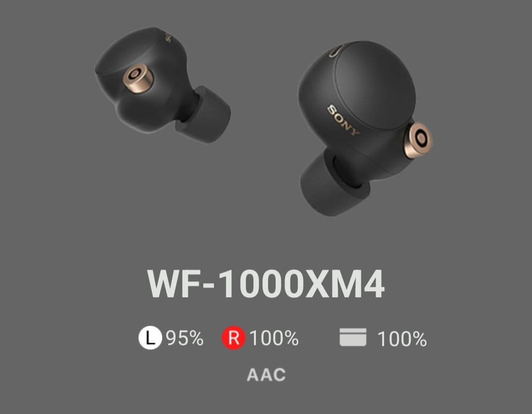 SONY ワイヤレスイヤホン ブラックWF-1000MX4