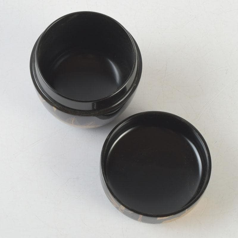 茶道具　黒塗　螺鈿装飾　桐竹蒔絵　中棗　時代箱　V　9942