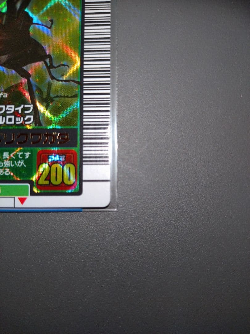 2003秋 ギラファノコギリクワガタ美品