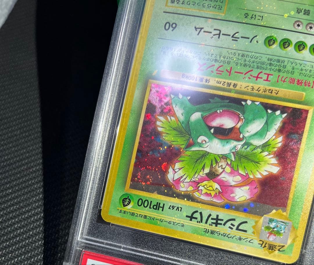 フシギバナ 旧裏 psa10