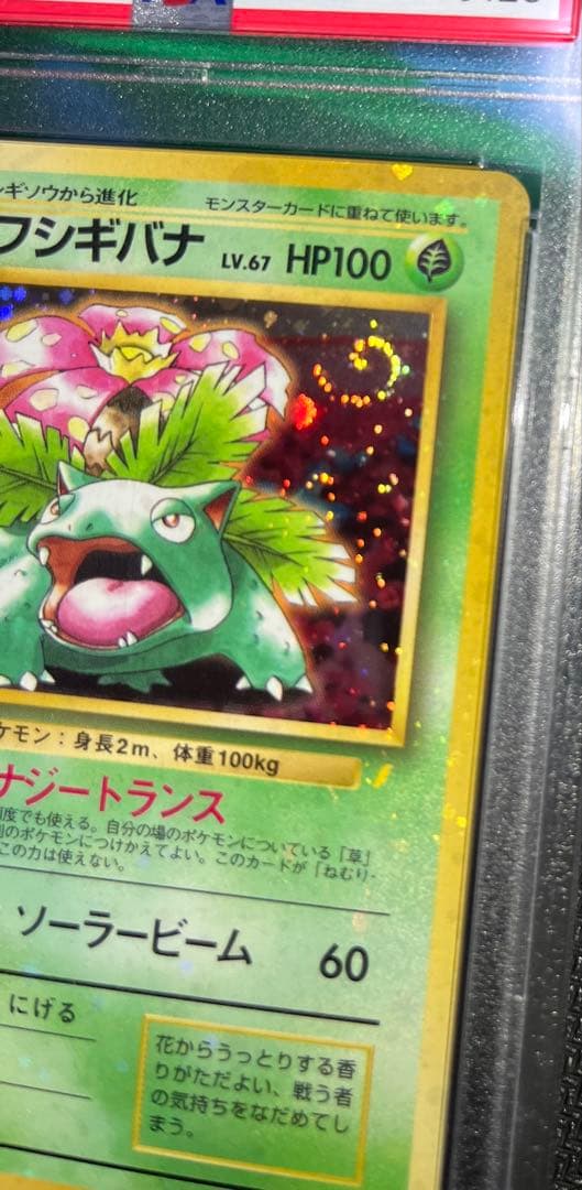 フシギバナ 旧裏 psa10