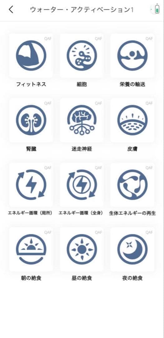 【定価584,800円】マグヒーリープロフェッショナル＆経絡モジュール2年保証付