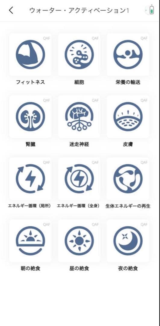 【定価584,800円】マグヒーリープロフェッショナル＆経絡モジュール2年保証付