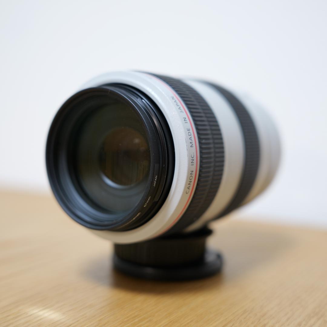 レンズ(ズーム) Canon EF 70-300mm f4-5.6L IS USM