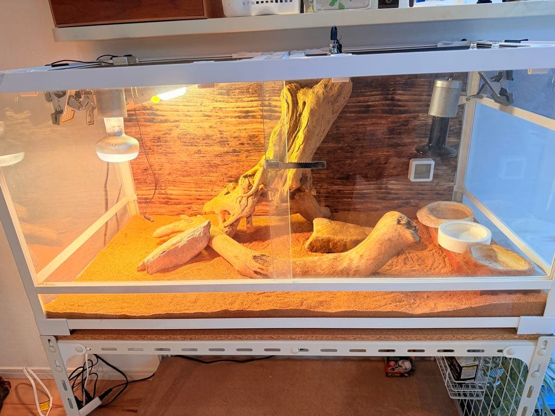 爬虫類飼育ケージ　パンテオン 9045 （おまけ付き）