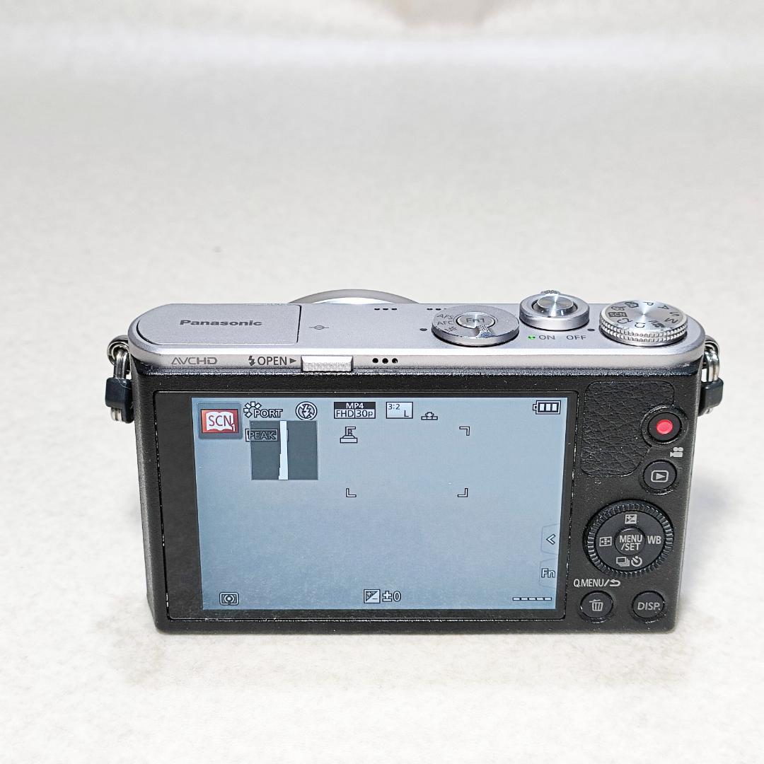 デジタルカメラ Panasonic LUMIX DMC-GM1 #3174