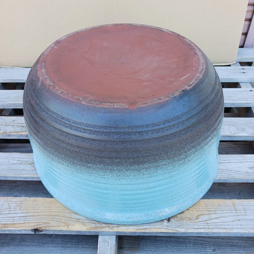 新品　特大51x48　陶器　睡蓮鉢　メダカ鉢　難有　ラリマーブルー　水色　LWC