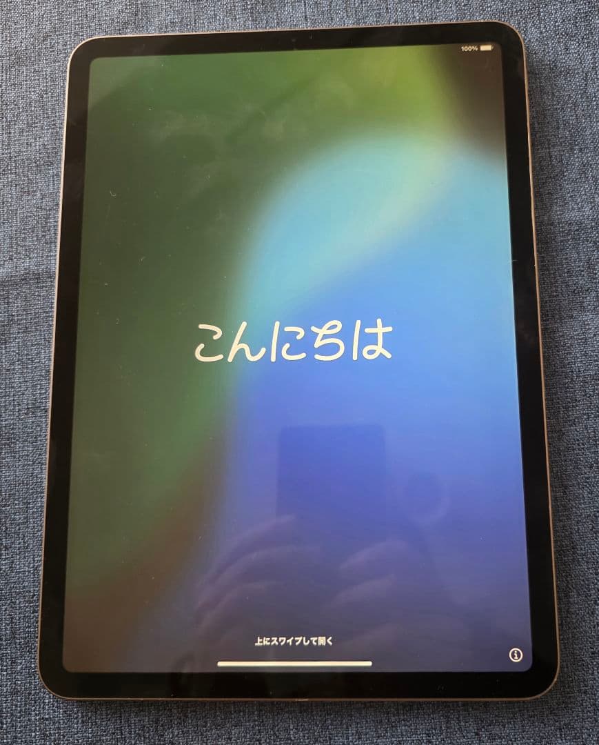 ギ*カ様 iPad Pro 11インチ 512GB