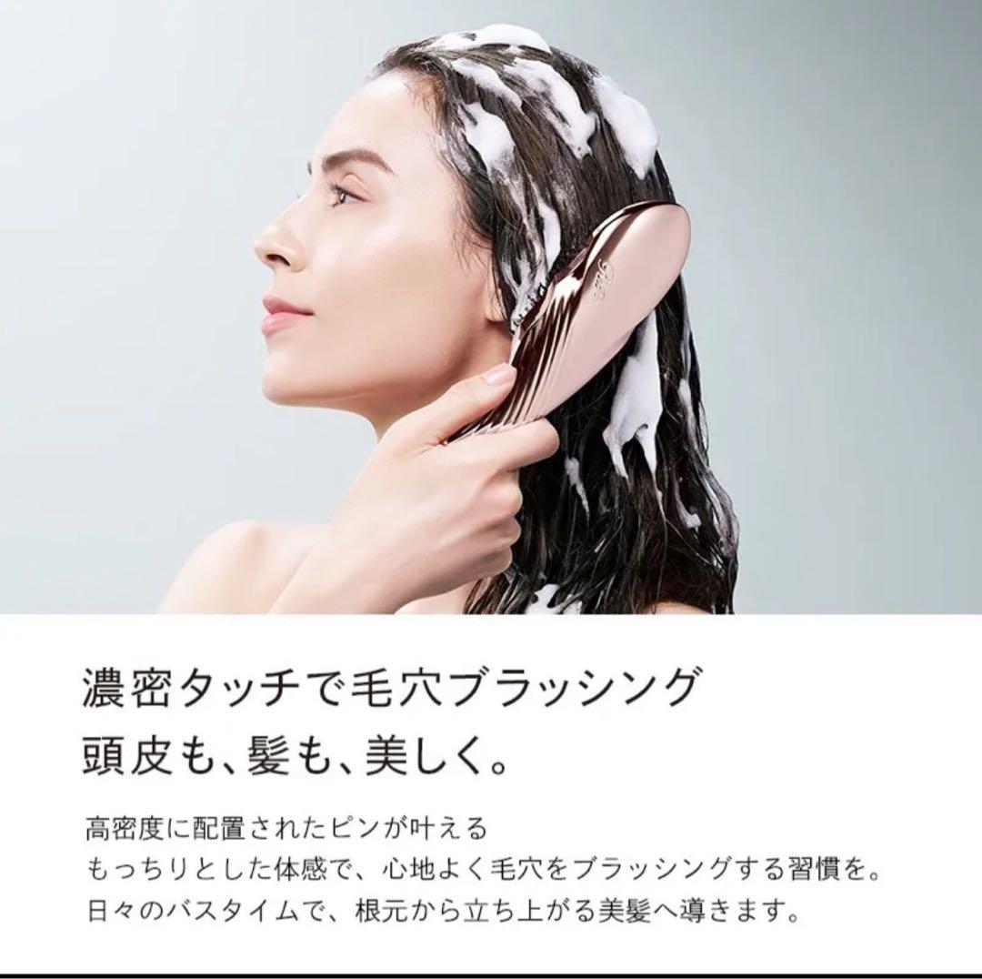 ✨未開封品✨ReFa リファ イオンケアブラシプレミアム ブラック①
