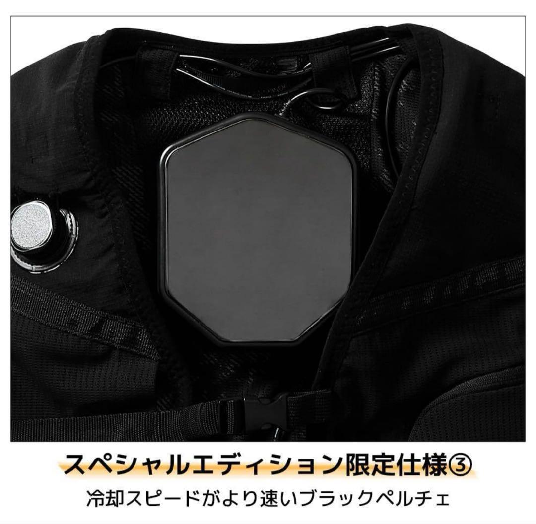 m*o様 WORKMAN 黒ペルチェベストPRO2 スペシャルエディション　20