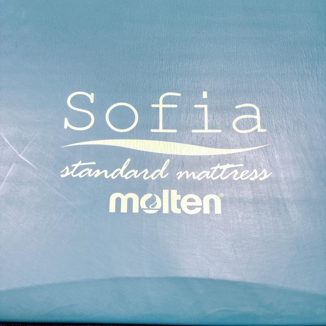 【送料込】molten ソフィアway 介護用マットレス リバーシブル 介護⑦