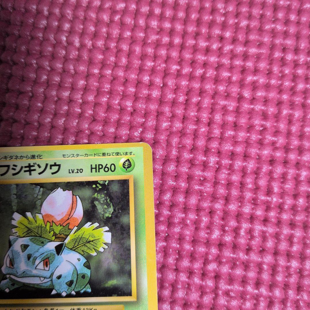 ✩希少✩　旧裏 ポケモンカード フシギソウ 枠ズレ エラーカード