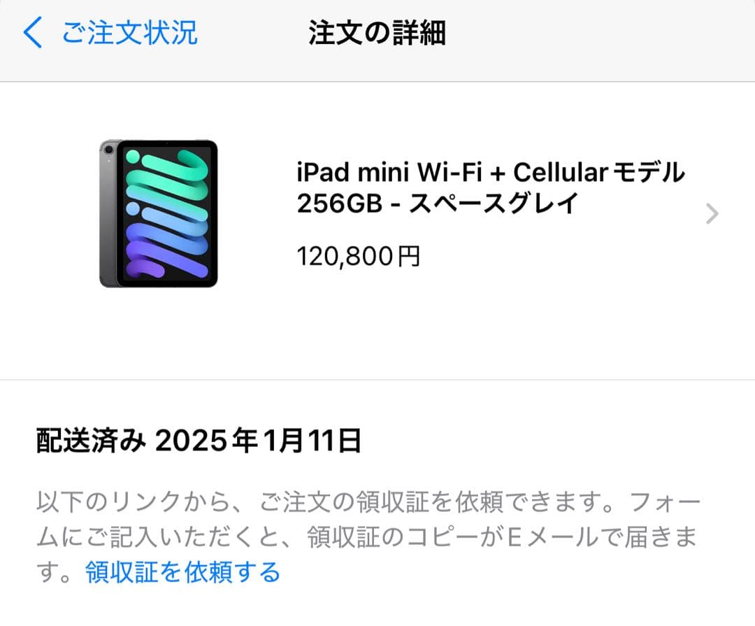 iPad mini7 Wi-Fi+Cellular 256GB スペースグレイ