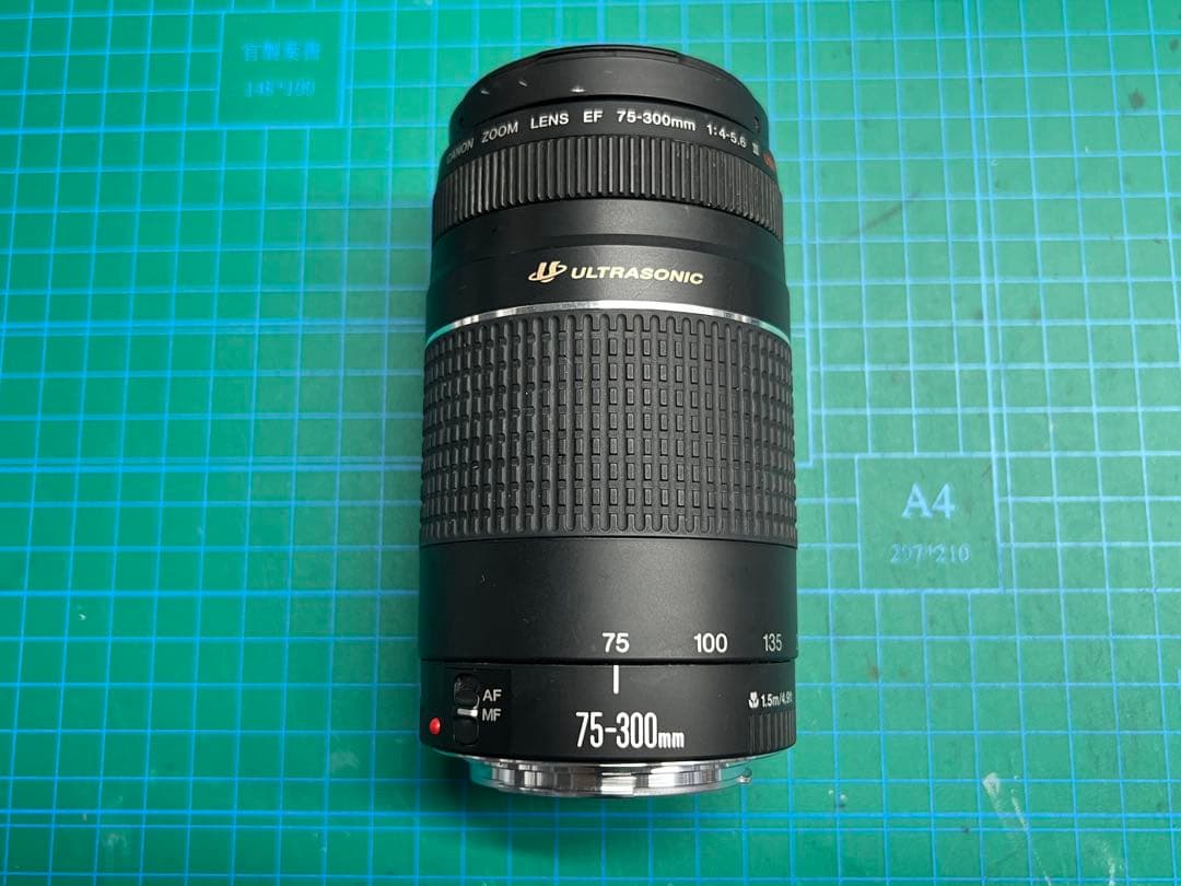 【美品】Canon EF 75-300mm F4-5.6 Ⅲ USM