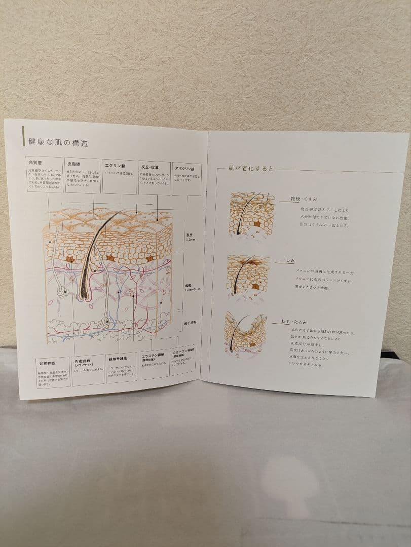 ビオドラガ　日焼け止め乳液、クレンジングオイル　各１セット×2箱、3箱入