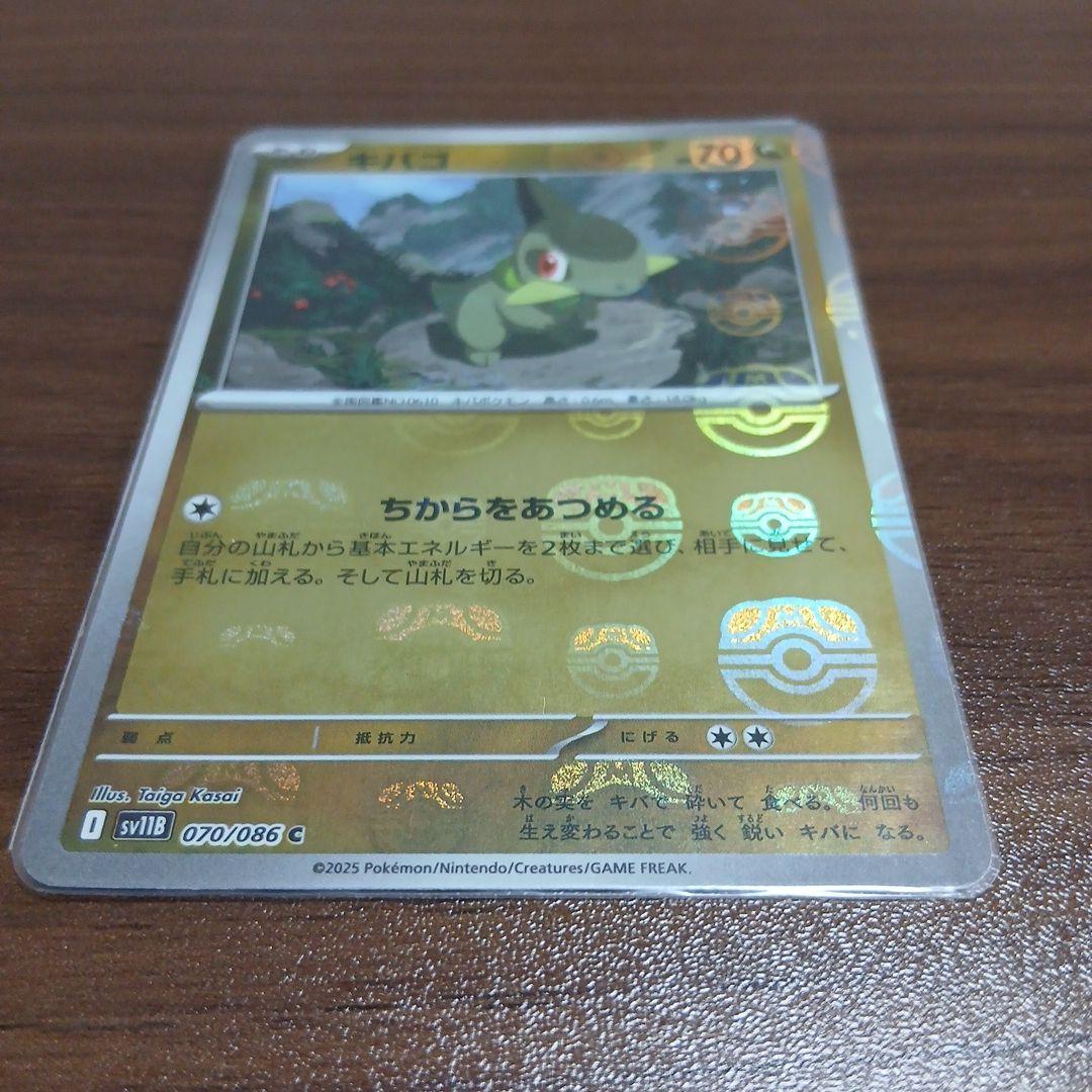 【マスターボール】 キバゴ