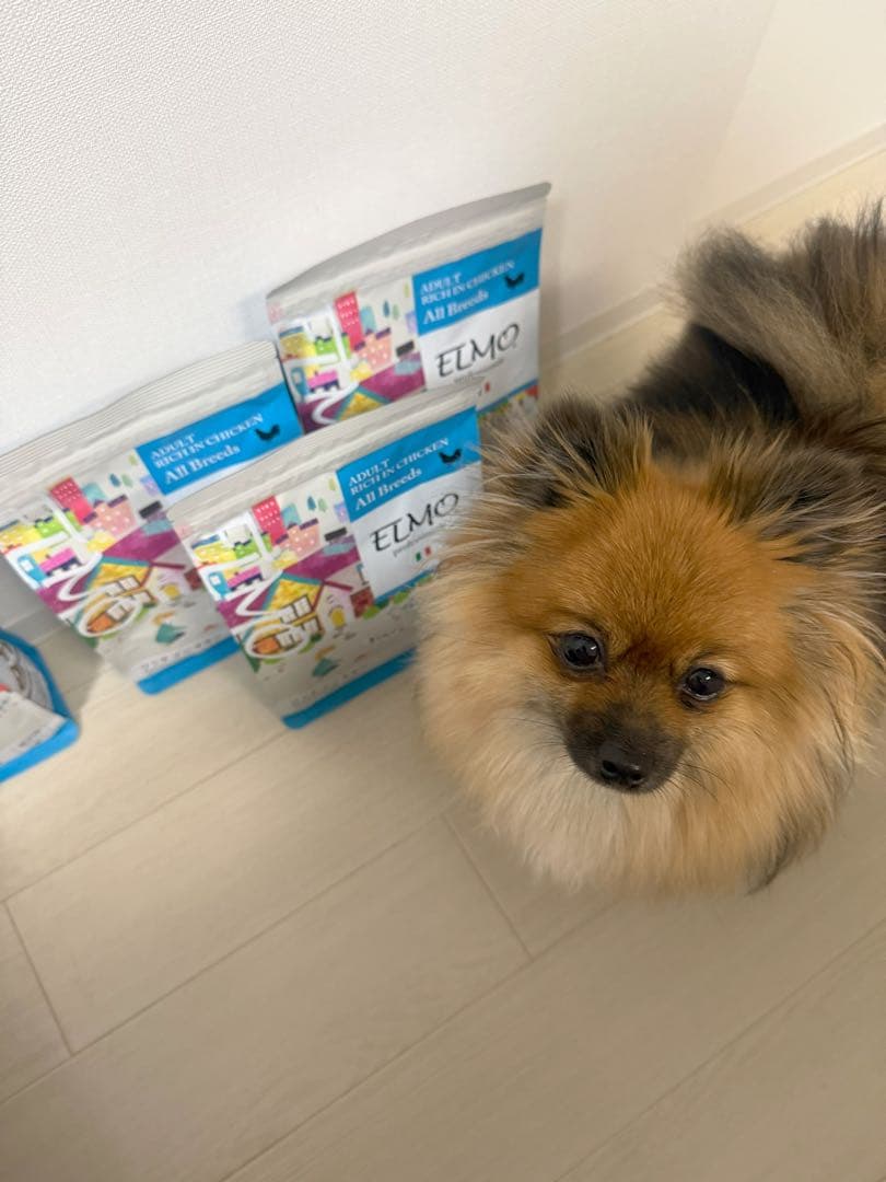 ELMO ドライドッグフード チキン 800ｇ×４
