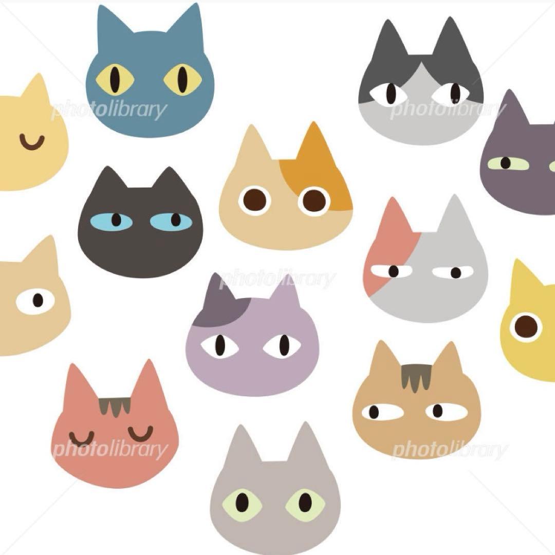ゆきちゃん様　(=^x^=)専用(=^x^=)
