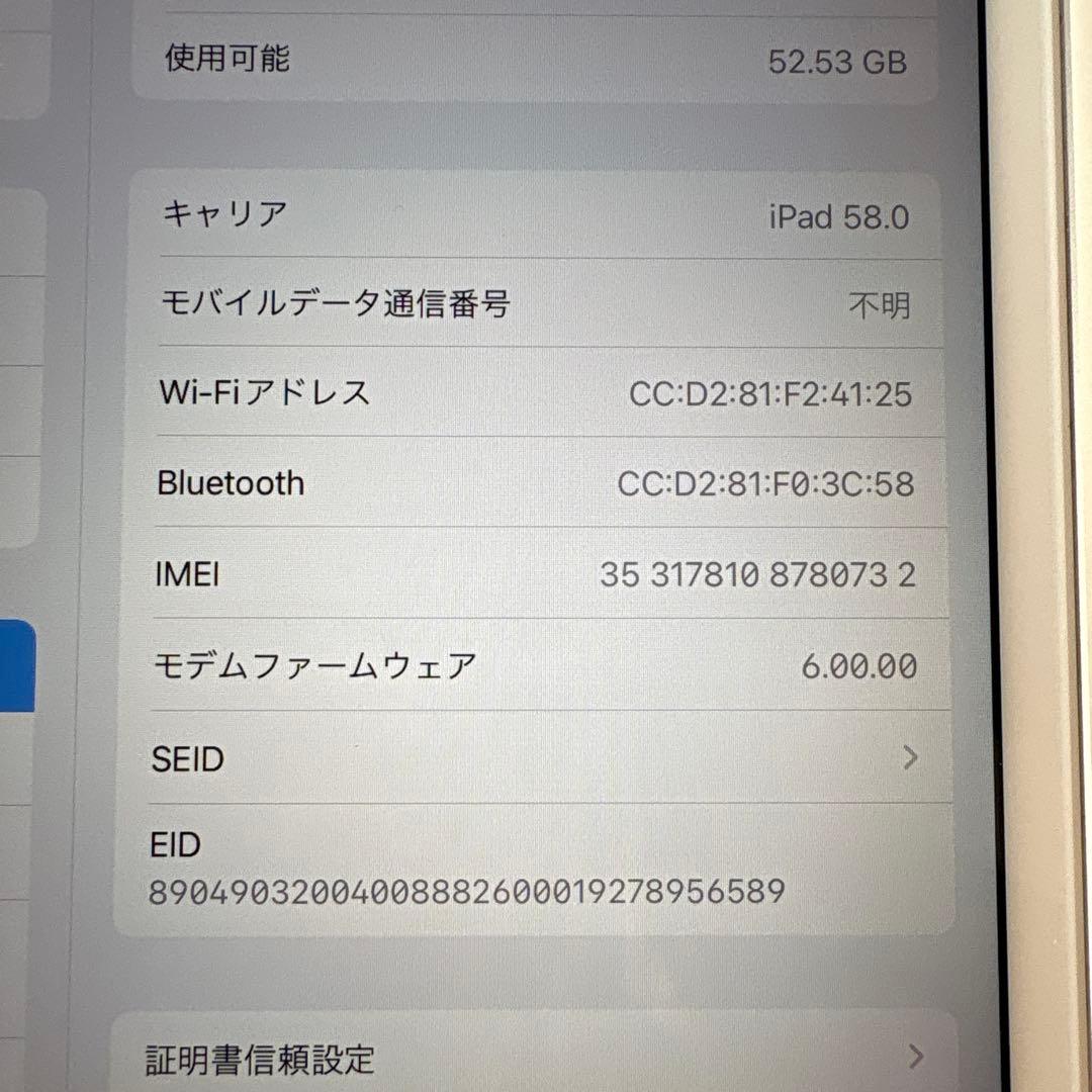 iPad mini5 セルラー 64GB SIMフリー　(74)