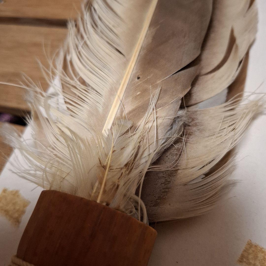 茶道具♢御羽箒 羽箒 座箒 箒博作 大 49センチ
