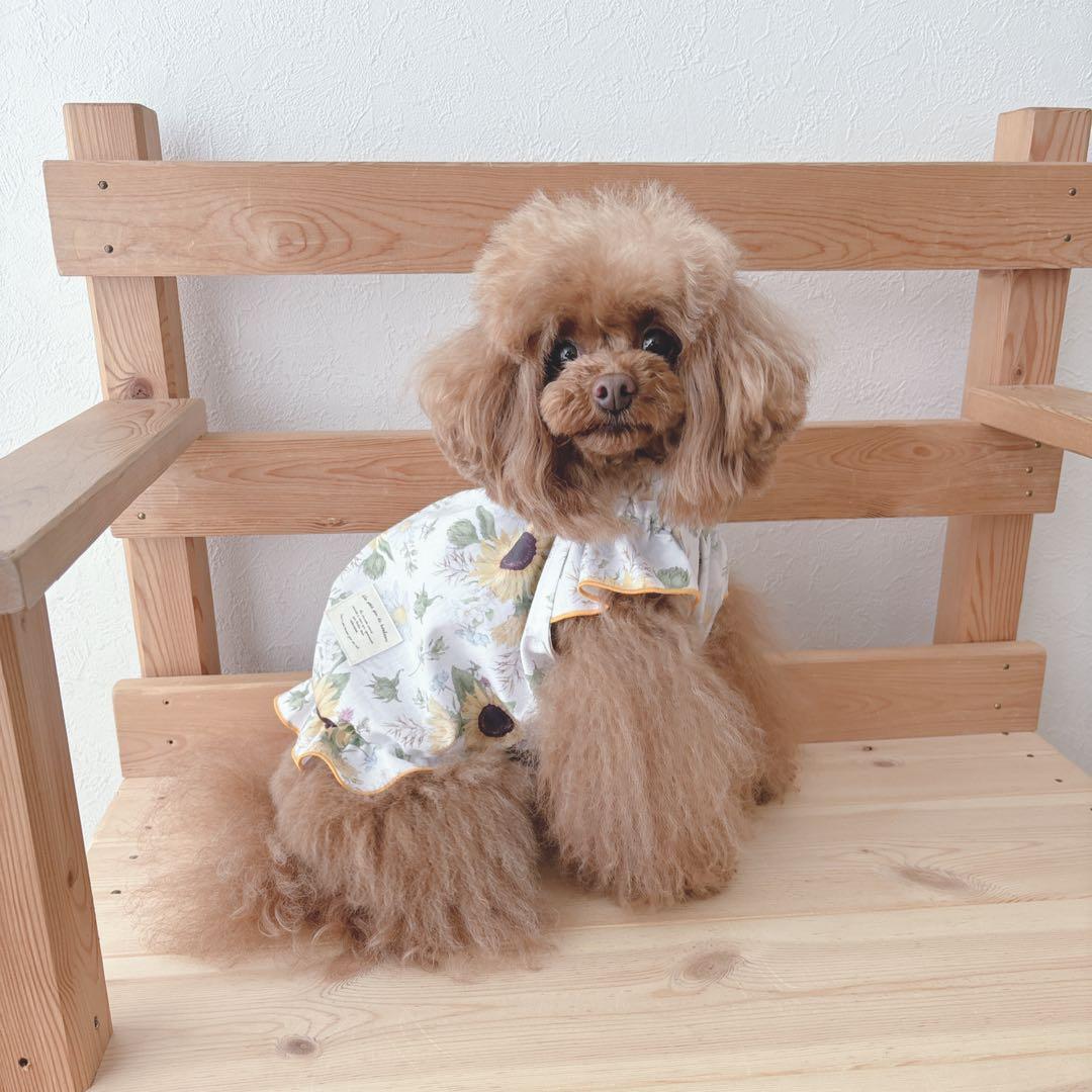 ハンドメイド　ひまわりとマーガレット立ち襟バルーンチュニック　犬服
