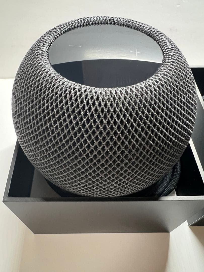 Apple Pod mini スペースグレイ 2台セット