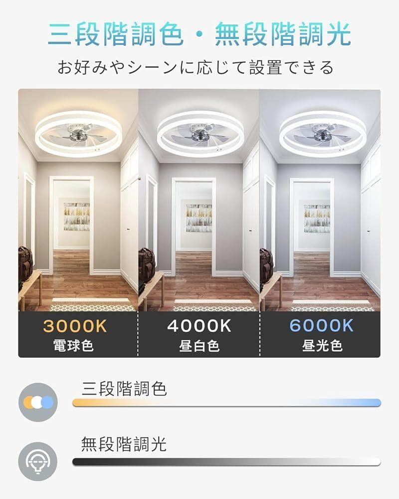 LEDシーリングファンライトキュレーター付き8~10畳リモコン/説明書付50CM