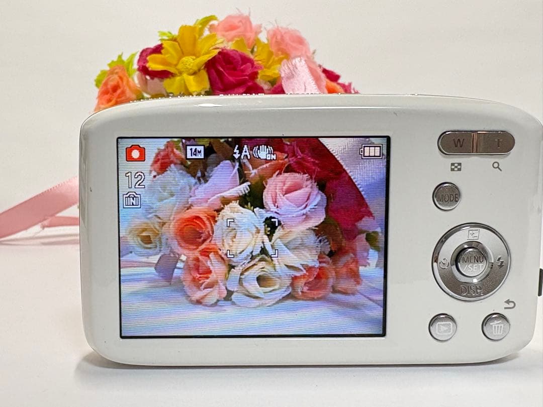 Panasonic LUMIX DMC-S2コンパクトカメラ コンデジ