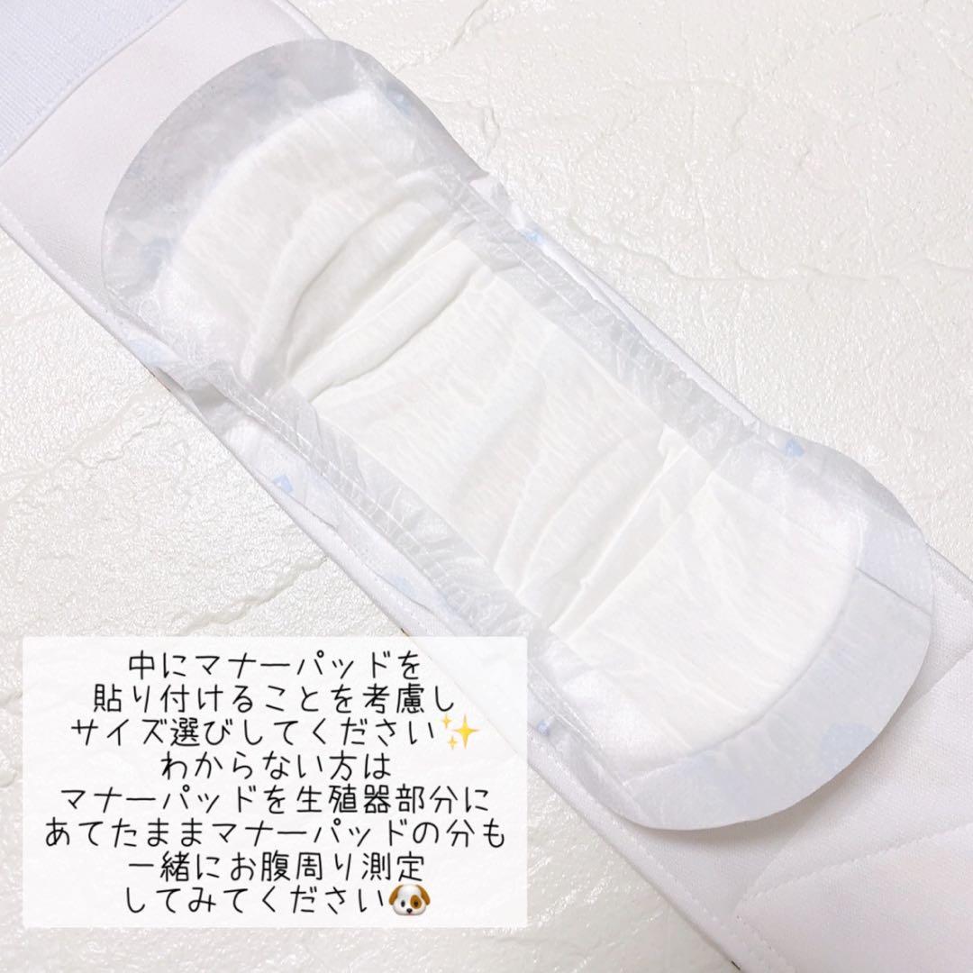 ♥オーダー受付中♥【No.75 韓国ニュアンステラゾー】マナーベルト