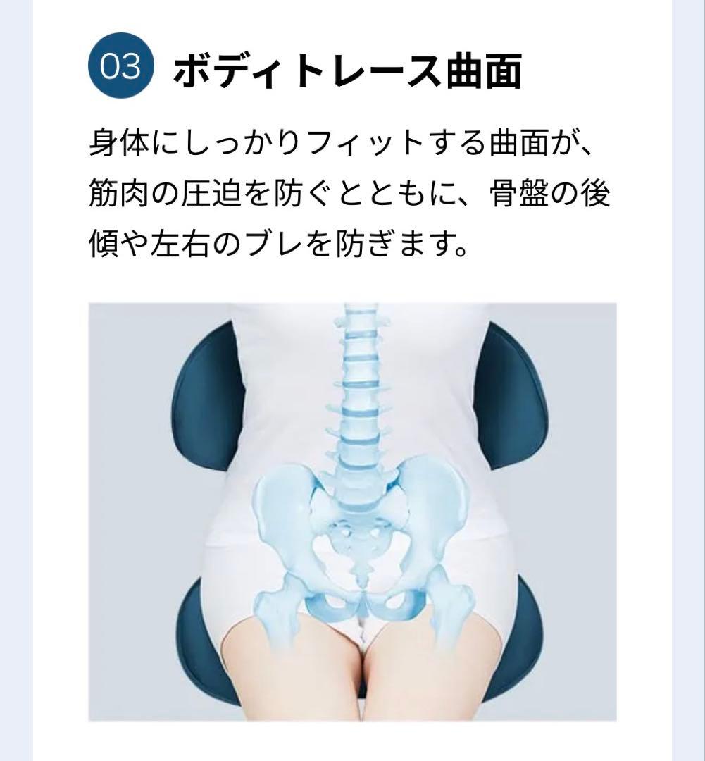☆美品☆MTG Style SMART スタイルスマート骨盤チェア 骨盤矯正BR