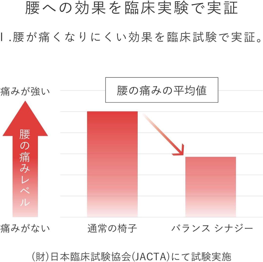 バランスシナジー　ラウンドシート説明書 価格変更しました　夜にもどします