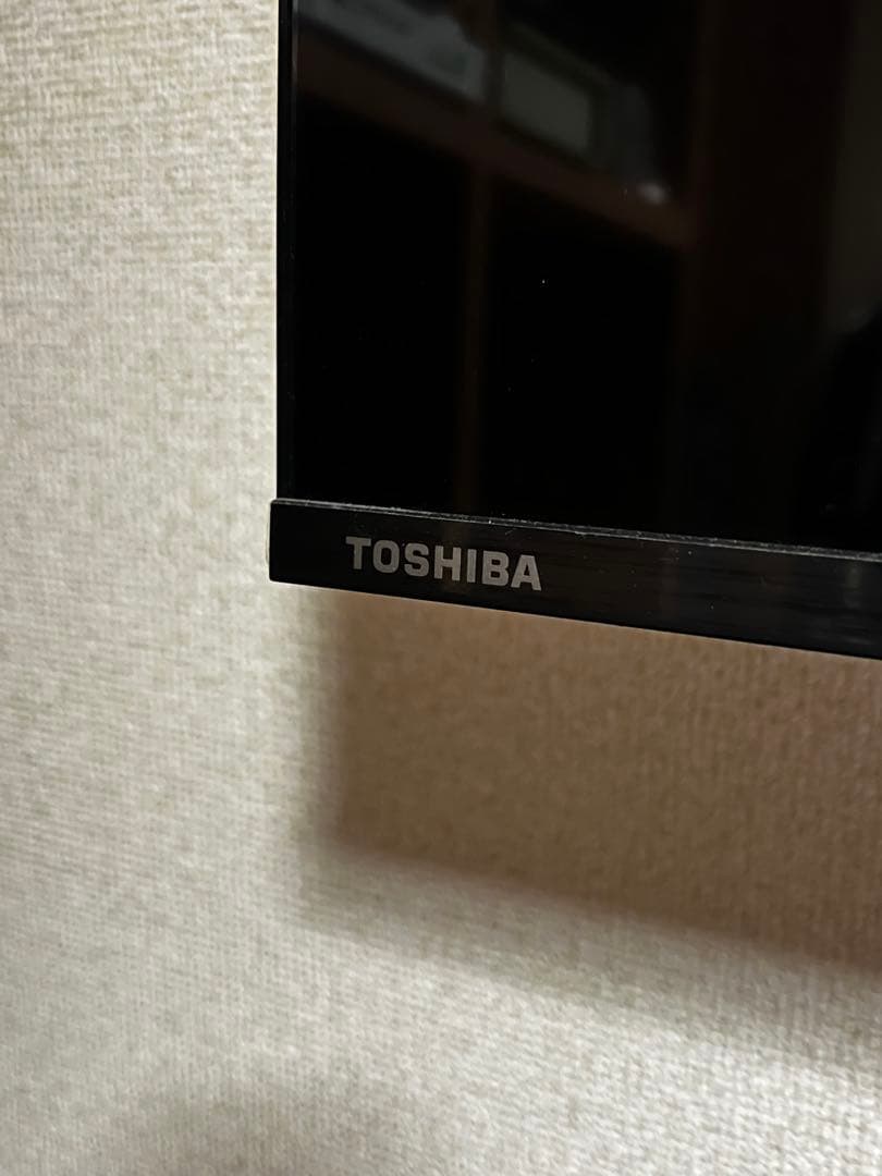 しめさば　REGZA テレビ　65インチ