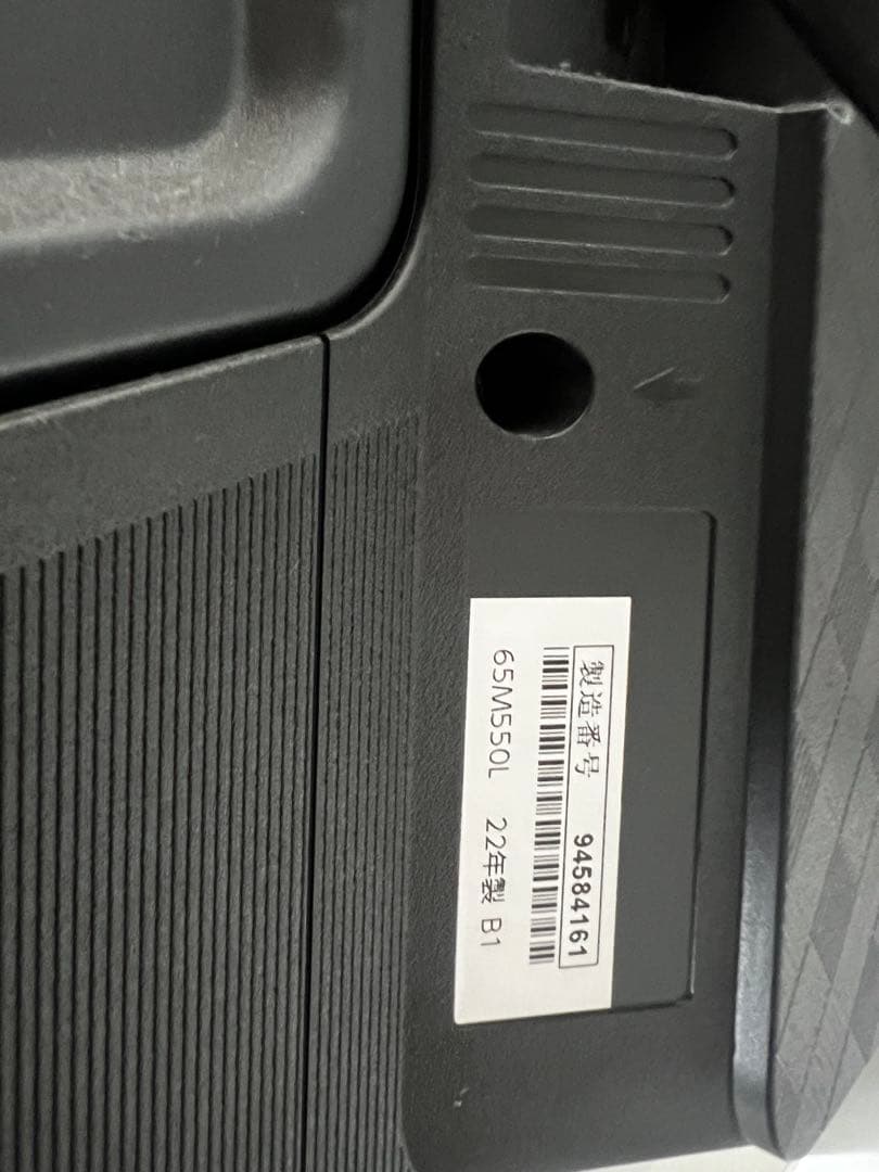 しめさば　REGZA テレビ　65インチ