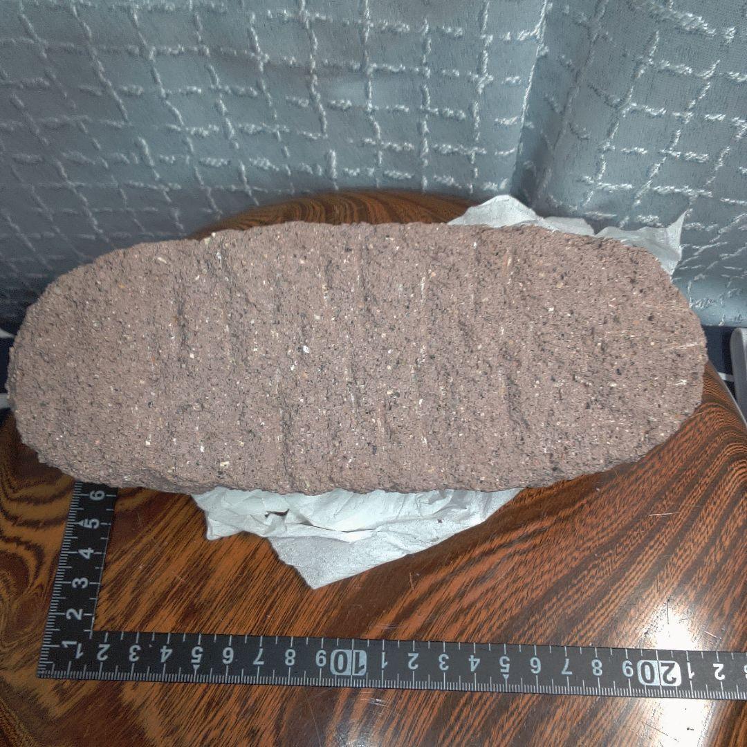 骨董１３ 化石？ 卵？アンティーク ヴィンテージ骨董