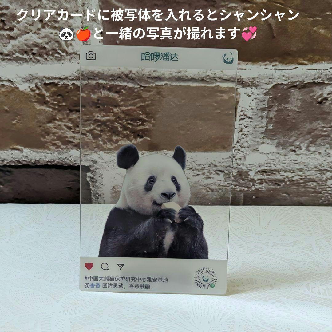 シャンシャンBirthday♡グッズ・コスチュームお買い上げの方へのプレゼント☆
