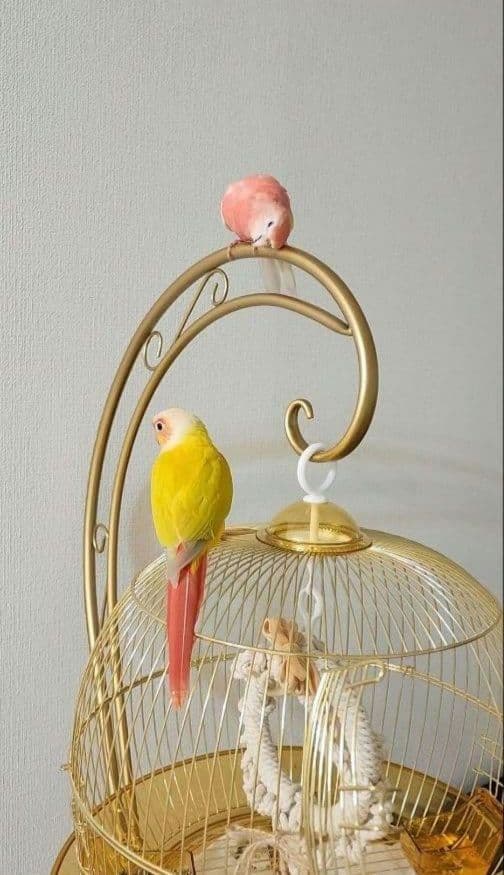 鳥かご スタンド ケージ インコ フラワースタンド ハンガースタンド