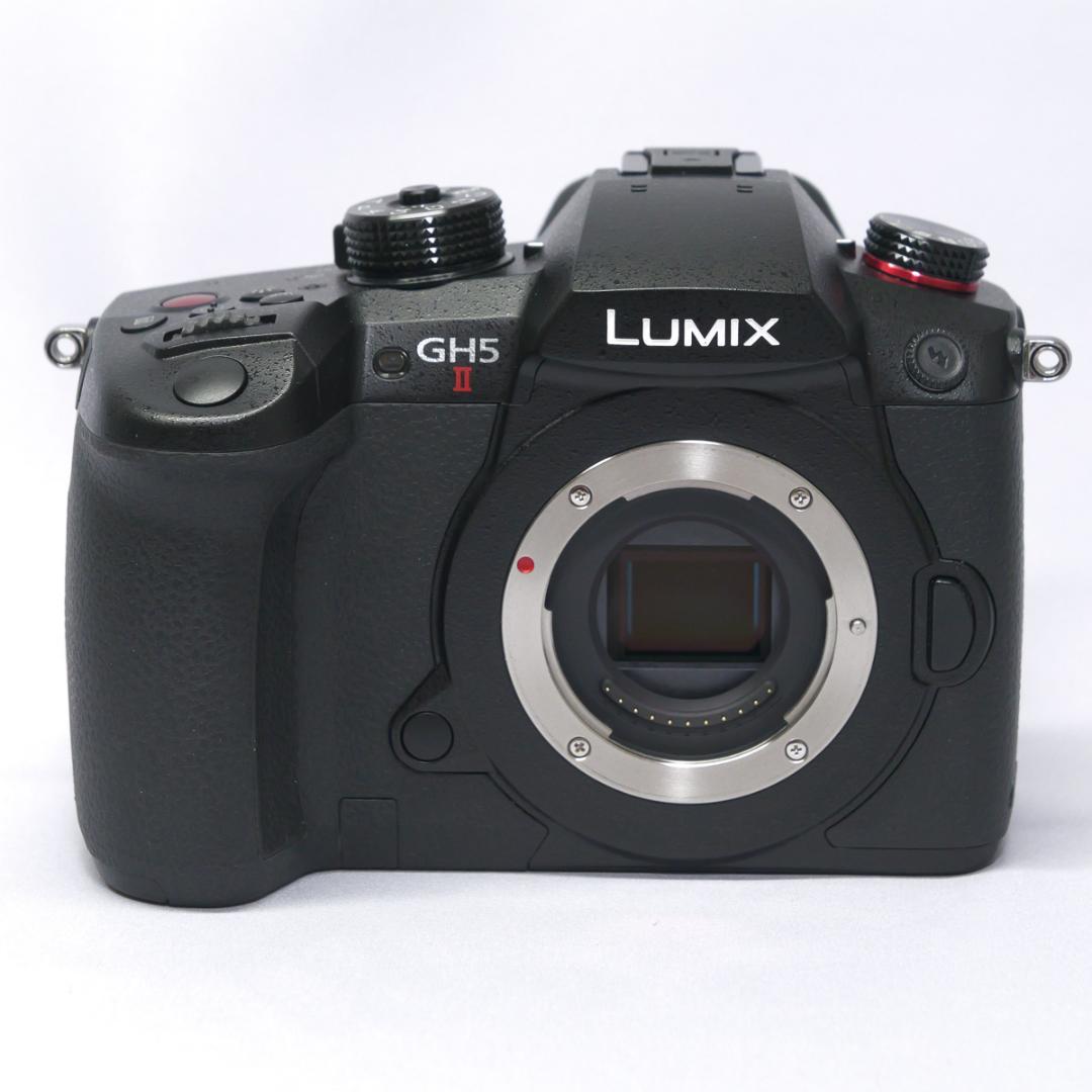 ●LUMIX DC-GH5M2 ボディ（Smallrig ケージ付き）