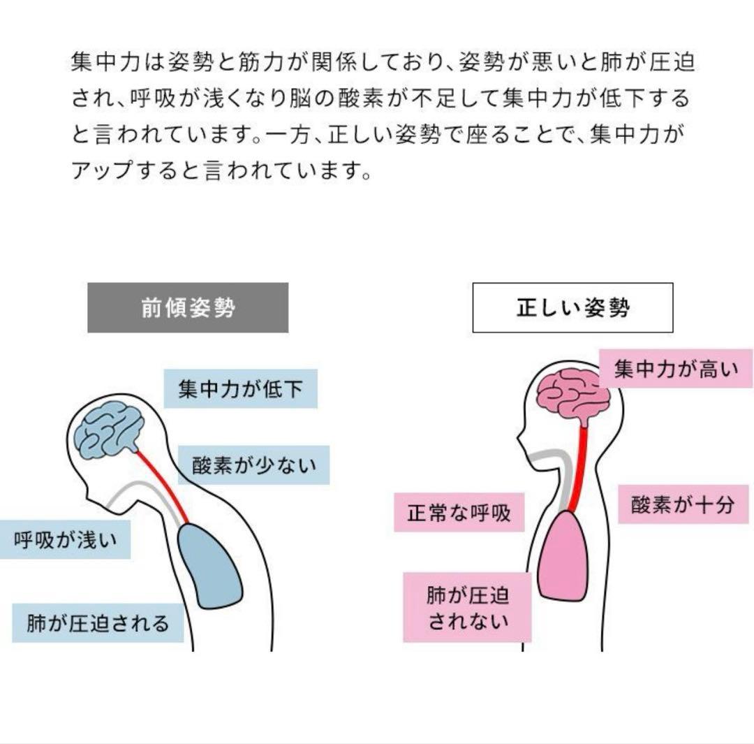 宮武製作所　プロポーションチェア　バランスチェア　姿勢矯正　学習椅子