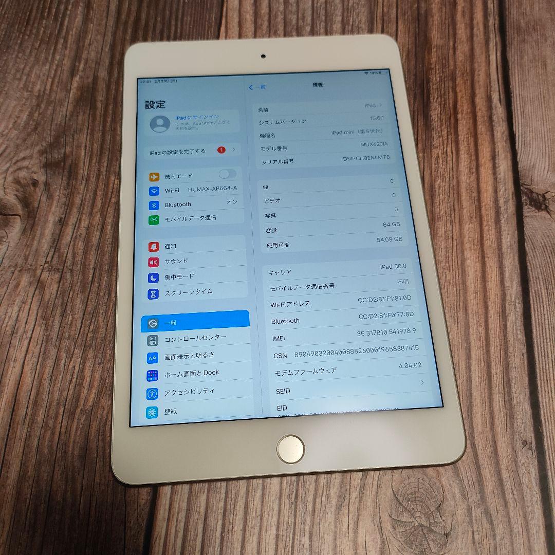iPad mini 第5世代 64GB バッテリー96% 超美品