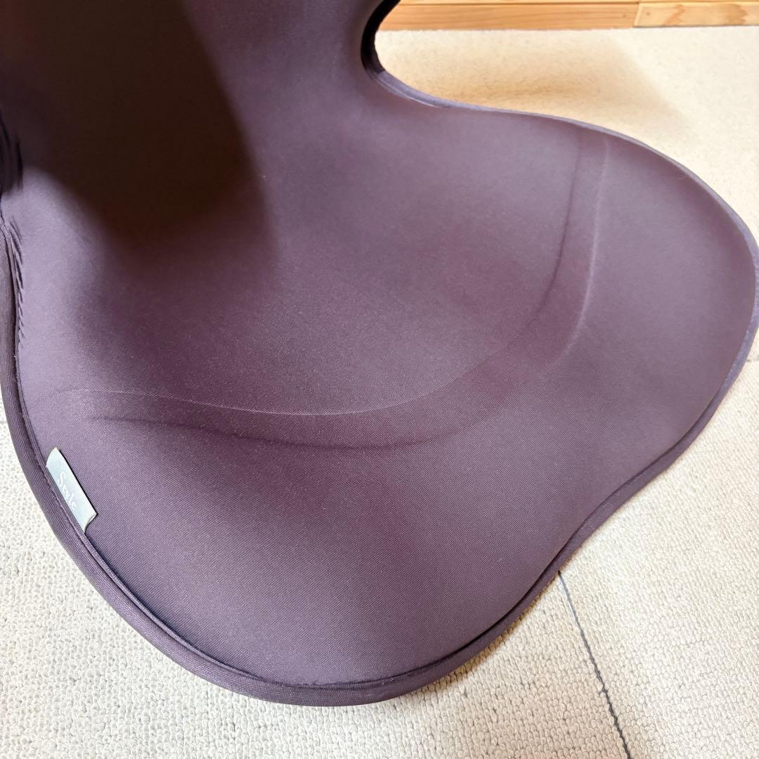 MTG スタイルスマート StyleSMART 骨盤サポートチェア