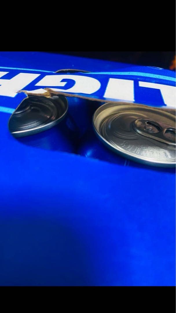 Bud Light（バドライト）30缶パック