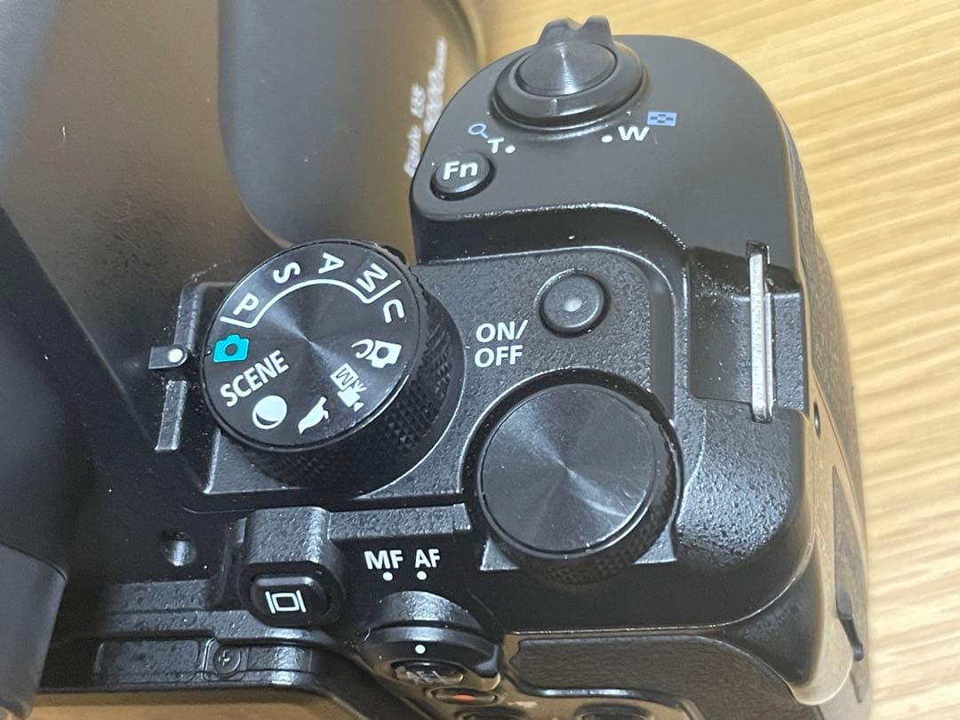 Nikon ニコン COOLPIX P950 元箱付・おまけ付