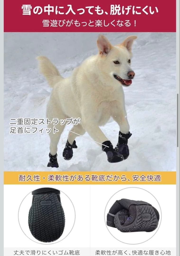 blue - 小型犬用 スノーシューズセット Muttluks