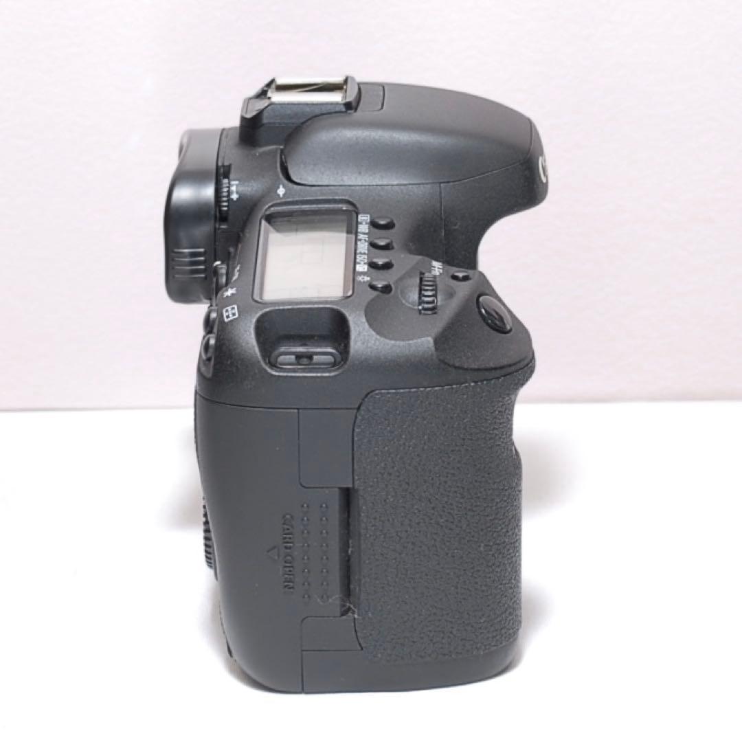 ✨新品級✨超望遠レンズセット✨キャノン EOS 7D✨高速連写機能✨桜撮影に