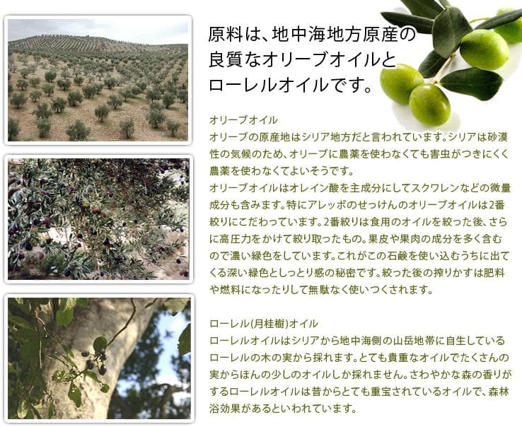 送料無料♡新品 正規品 ☆ アレッポの石けん エキストラ40 10個 エキストラ